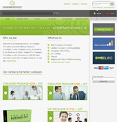 Company Service